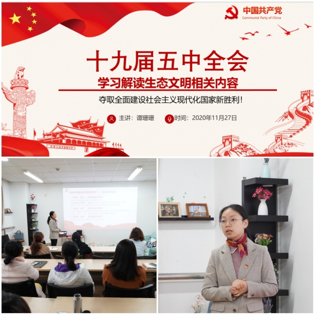 组合1 组合1