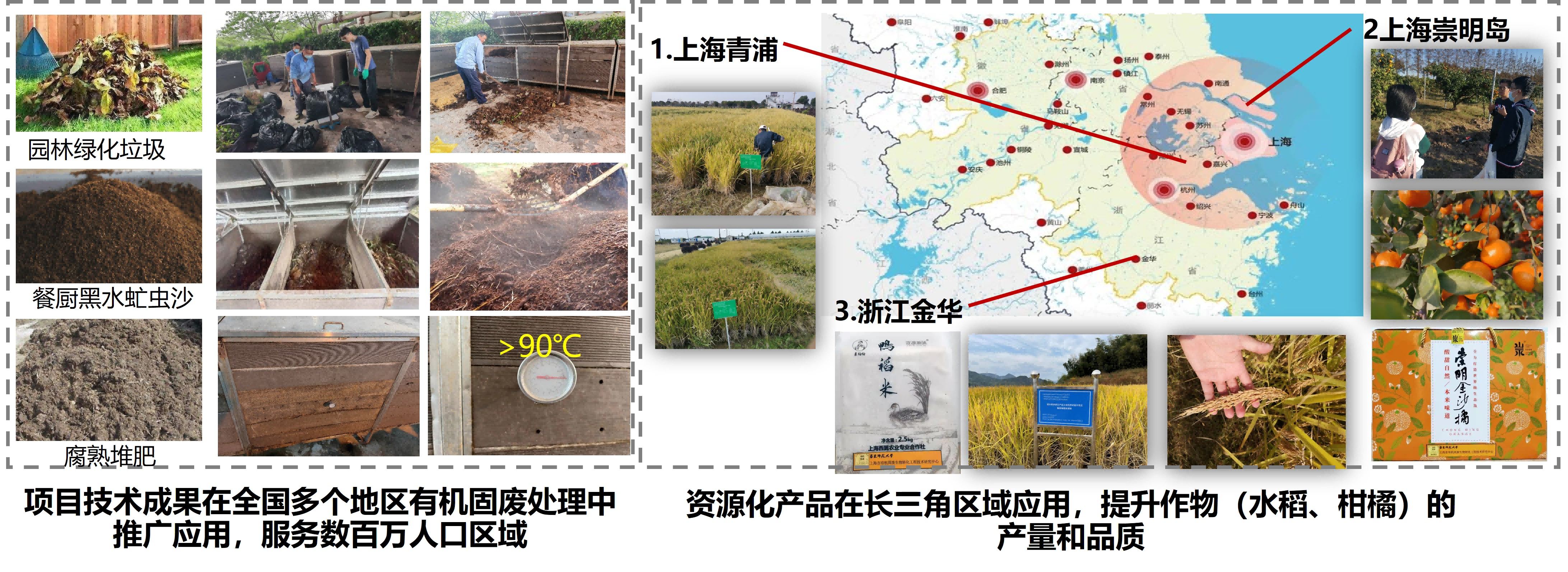 谢冰3(1).png