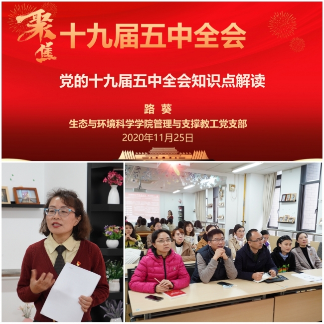 组合1 组合1